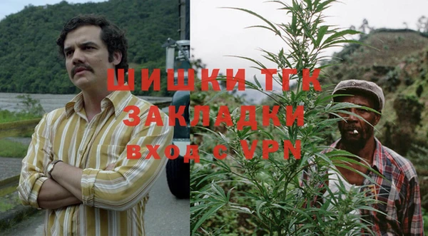 крисы Кинешма